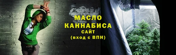 мет Ельня