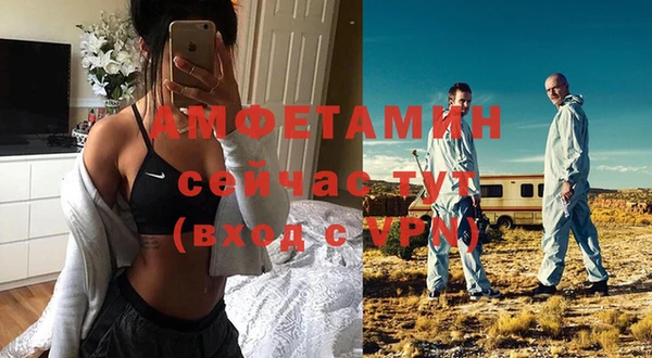 мет Ельня