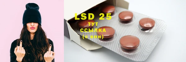 гидропоника Елабуга