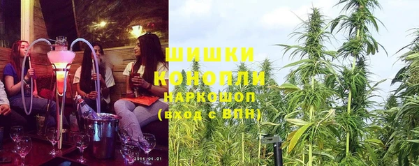 гидропоника Елабуга
