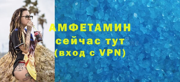 мет Ельня