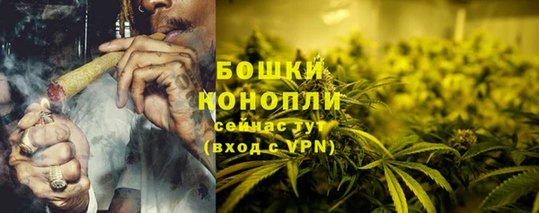 мет Ельня