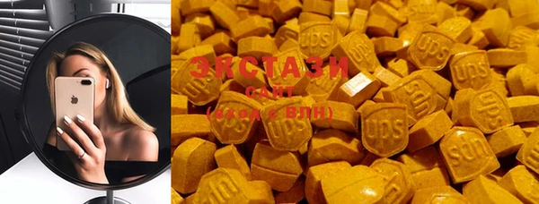 мет Ельня